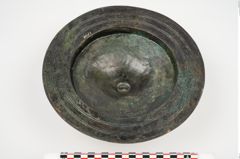 Foto von Bronzephalere (NHMW-PRAE-025108)